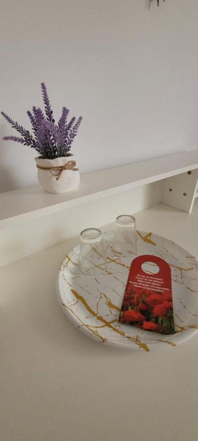 Casa Domneasca Hotel Giurgiu Luaran gambar