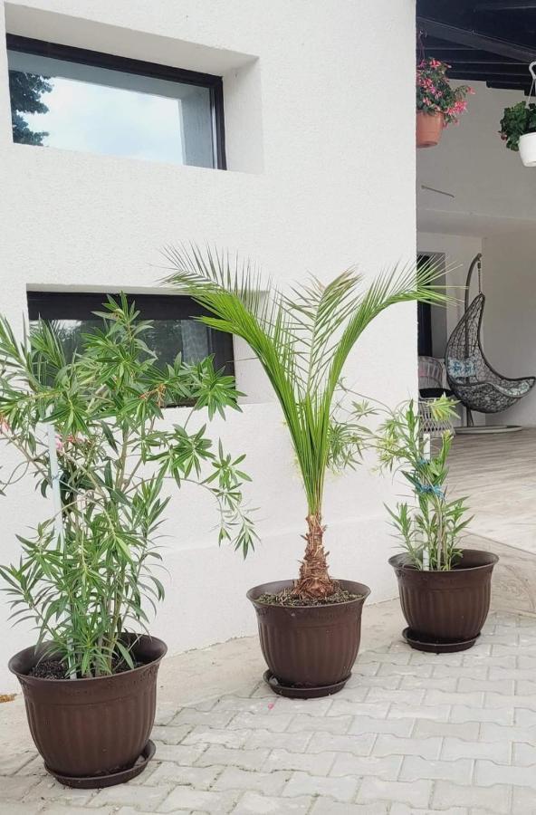 Casa Domneasca Hotel Giurgiu Luaran gambar