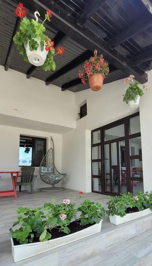Casa Domneasca Hotel Giurgiu Luaran gambar